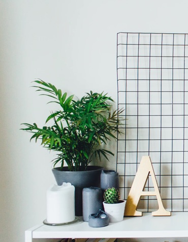 Desk with plants and candles